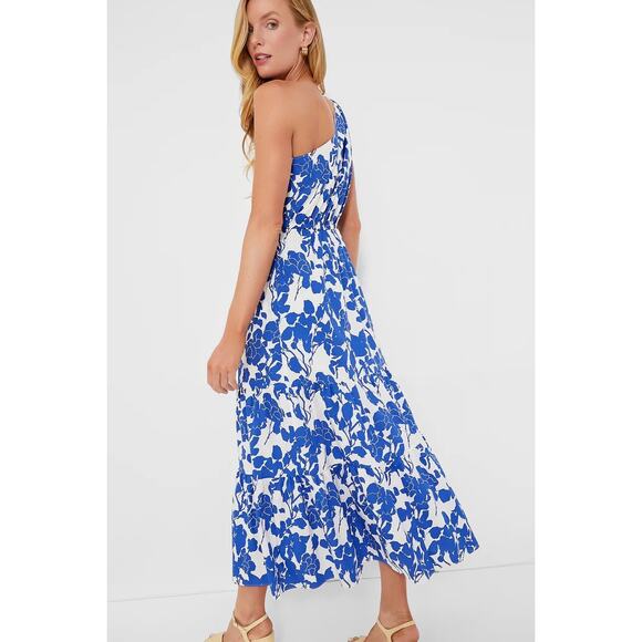 HYACINTH HOUSEBlue Floral One Shoulder Sybil Maxi Dress size medium - Picture 3 of 9